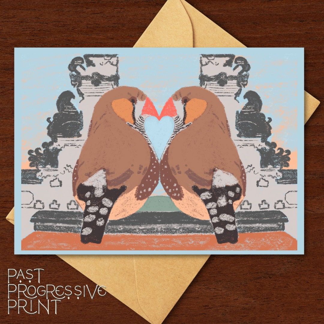 Zebra Finch Mating Dance in Ubud Bali Subtle Pride Gay Birds LGBTQ Love