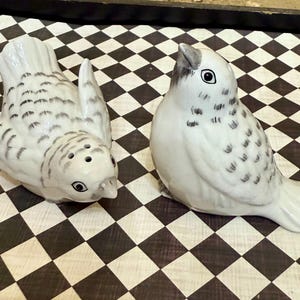 Edie Rose Home Salt and Pepper Shakers