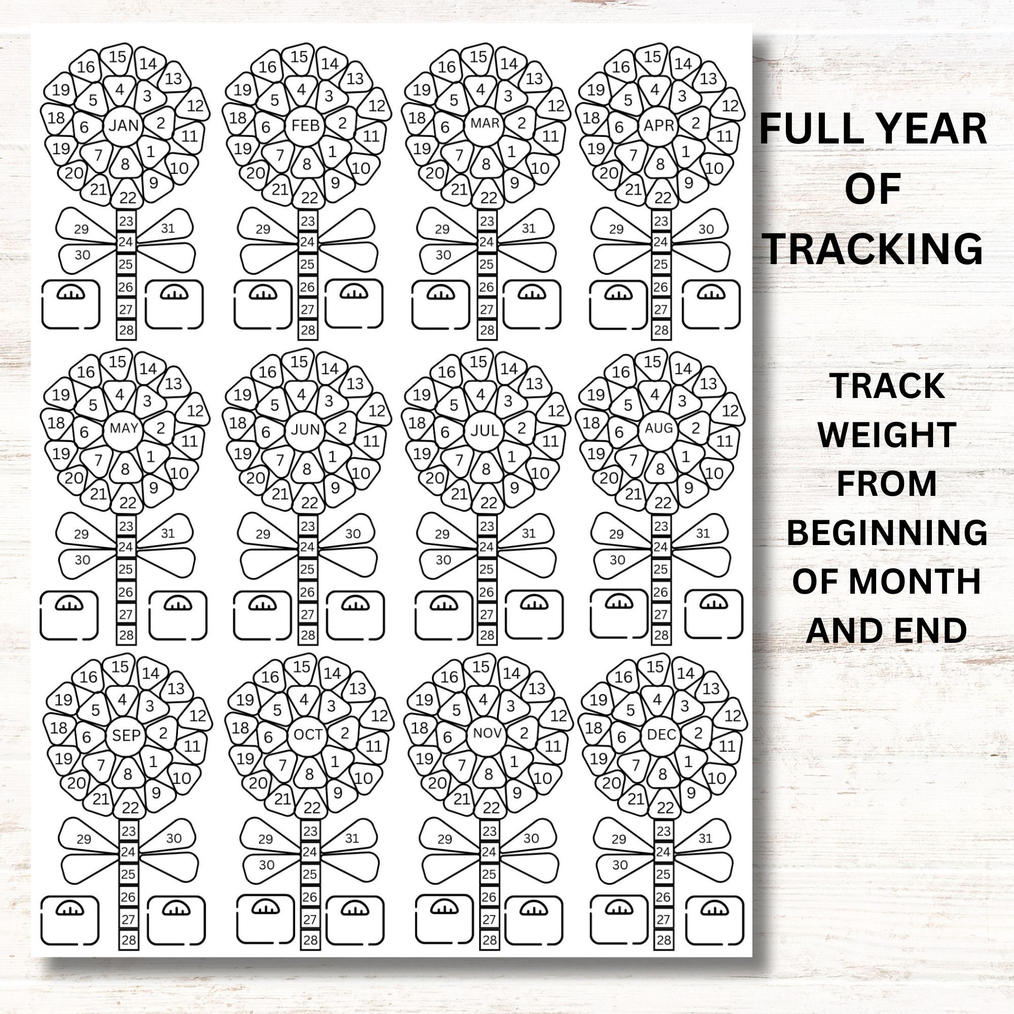 2024 Workout Tracker Color, Digital Workout Tracker, Fitness Tracker