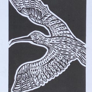 Handmade lino prints and illustrations.
