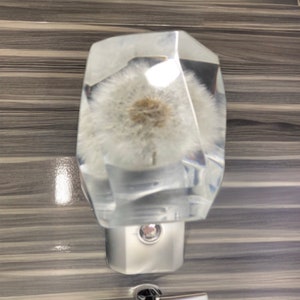 May include: A clear glass night light with a dandelion inside. The night light is shaped like a geometric prism and has a silver base.