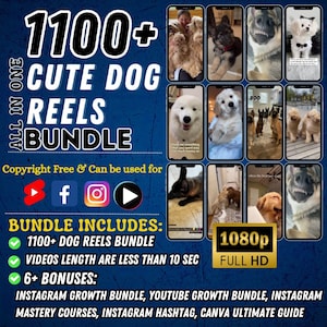 Pacote de vídeos de cachorros fofos | Mais de 1100 vídeos virais e engraçados de animais de estimação para Instagram, TikTok, YouTube Shorts e Facebook | Download instantâneo