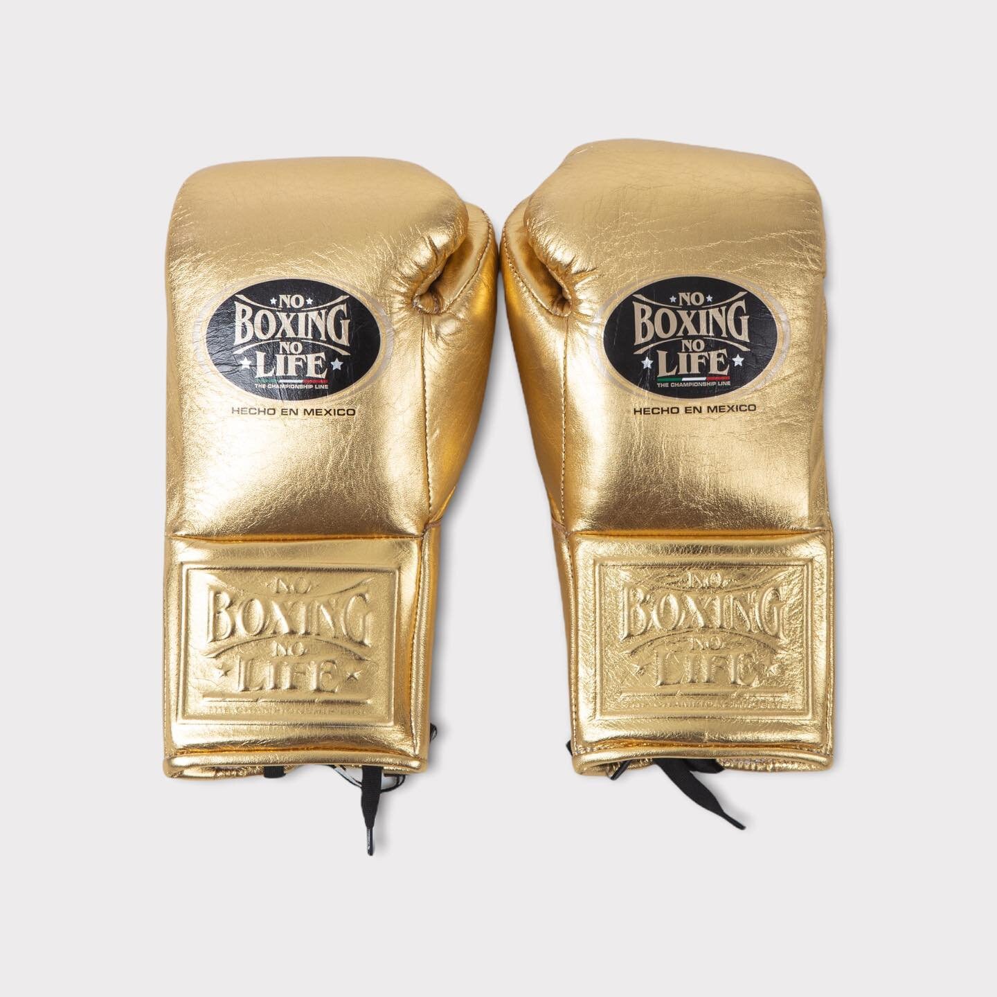 No Boxing No Life Gloves Premium Quality Boxing Gloves for Dedicated