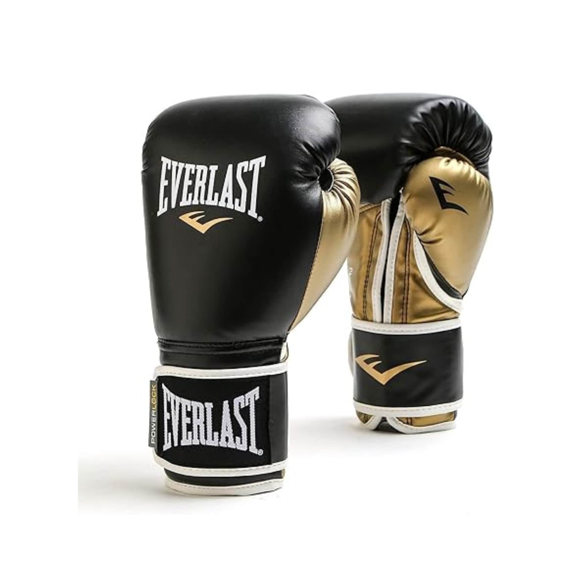 Buy Everlast Boxing Gloves Premium Quality Training Gloves for