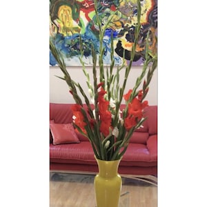 May include: A yellow vase holds a vibrant arrangement of red and white gladiolus flowers with green stems. The vase sits on a table in front of a red sofa and a colorful abstract painting.