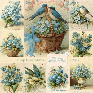 Vintage myosotis 83 images : aquarelles pages florales victoriennes, cottagecore, nature, éphémères imprimables vintage, téléchargement NUMÉRIQUE
