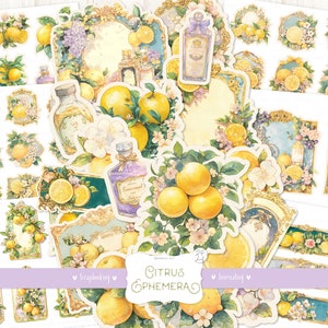 Kit Agrumes éphémères : citrons, oranges, étiquettes vintage, scrapbooking, découpes, cartes, étiquettes, autocollants, journal indésirable à imprimer, complément à l'ensemble, téléchargement numérique