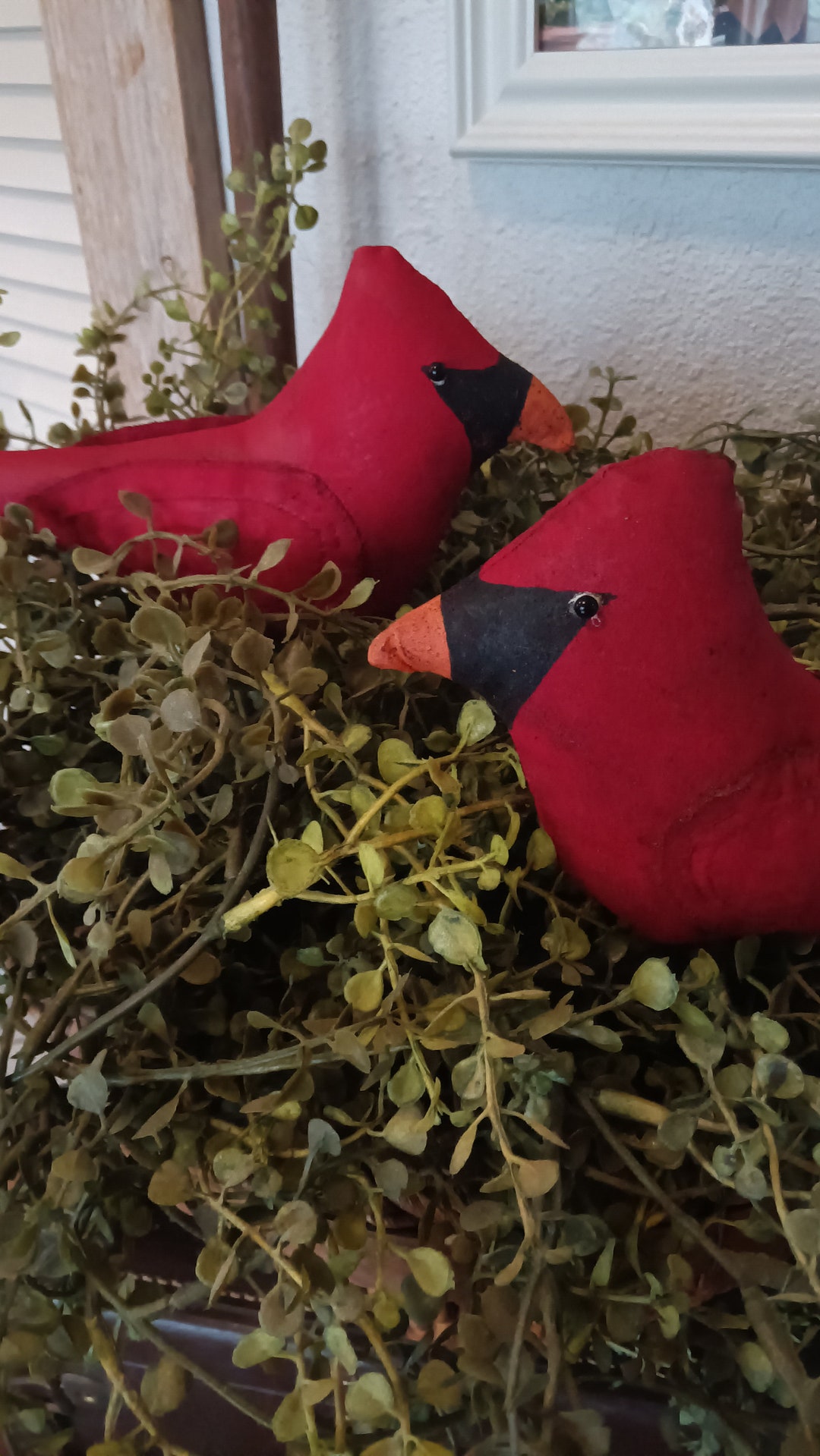 Primitive Cardinals - Etsy