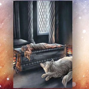 Aelin & Fenrys - Four Blinks - Officially Licensed Art Print - Throne of Glass