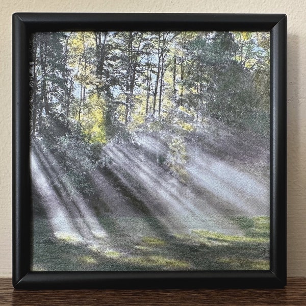Hand Colored Photograph Original Art-Sunlight Through Trees. 4x4 photo in 8x8 Mat. Hand Tinted Vintage Technique. Free Shipping.