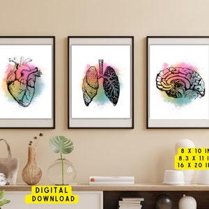 Anatomical Heart -Anatomical Brain -Human Lungs - Set of 3, human Anatomy prints, Printable Art,colorful Human Anatomy Science Poster