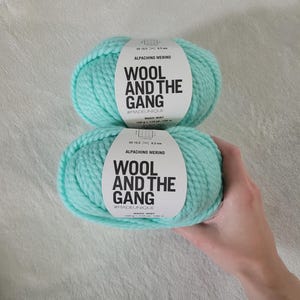 May include: Two skeins of mint green Alpachino Merino yarn stacked vertically. Each skein features a white paper label with the text Wool and the Gang, #madeunique, Magic Mint, 100g, 110yd, 100m, and US 10.5, 6.5mm needle size specifications.