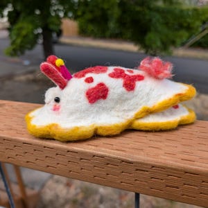 Custom Sea Slug (Made To Order)