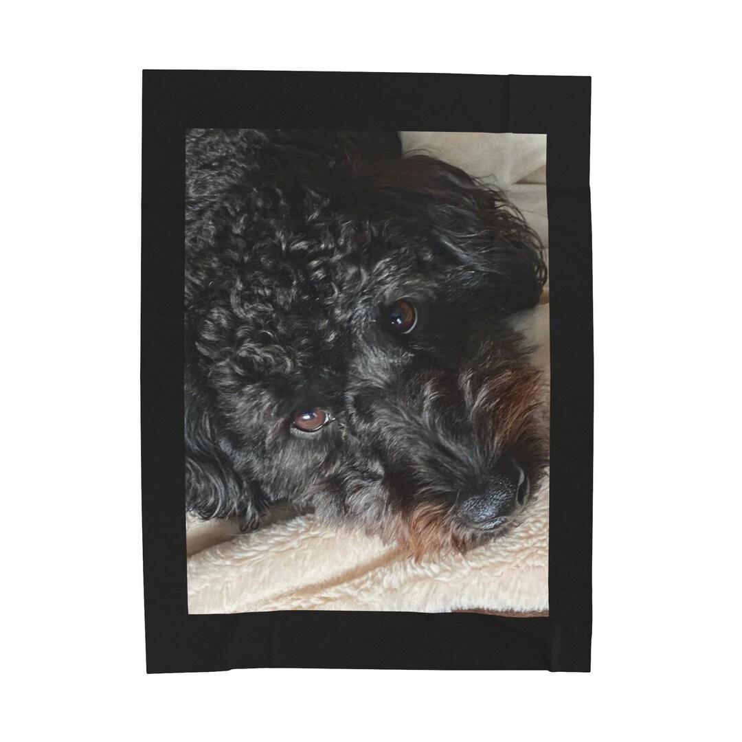 Black Goldendoodle Blanket Etsy