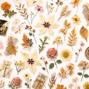 May include: A collection of assorted pressed flower and leaf stickers featuring various botanical elements in shades of yellow, orange, and muted pink, including roses, ferns, and dried wildflowers, alongside small vintage-style paper ephemera.