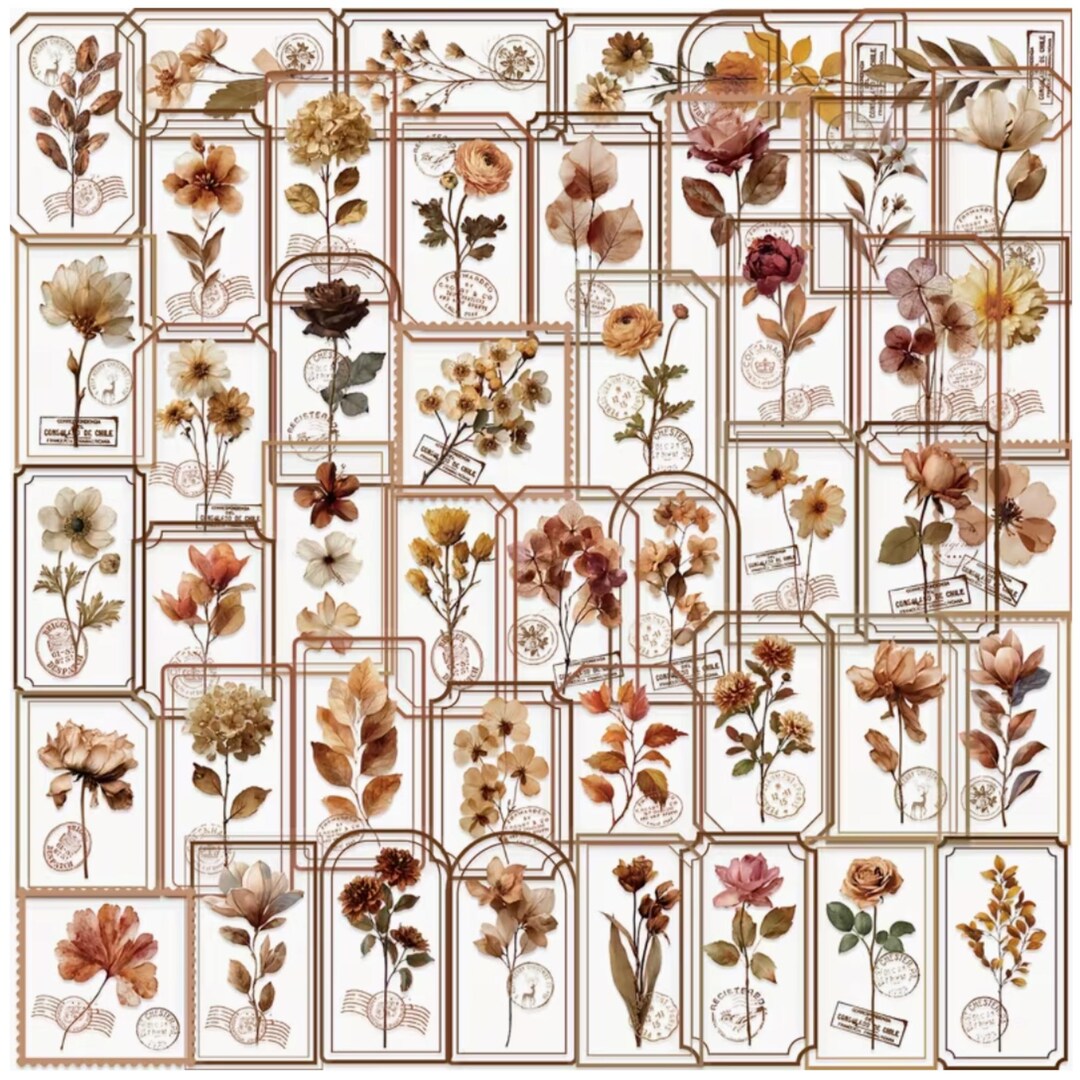 Floral Frame Sticker Pack – 50 Transparent Frame Flower Stickers ...