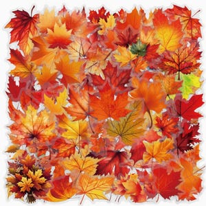 May include: A collection of autumn maple leaves in various shades of red, orange, yellow, and gold. The leaves are arranged in a dense, overlapping pattern, featuring distinct veining and pointed lobes, with a small bouquet of leaves at the bottom.