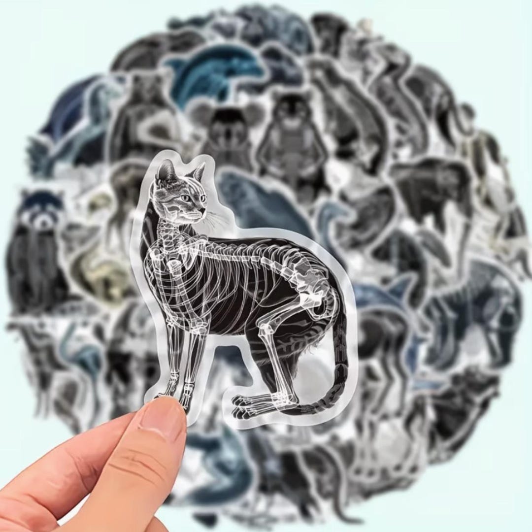 50 Animal Skeleton X-ray Stickers, Junk Journal Ephemera, Crafting ...