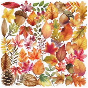 May include: A collection of watercolour-style autumn elements featuring various deciduous leaves in shades of red, orange, yellow, and brown, interspersed with brown acorns, a pinecone, and small green sprigs arranged on a white background.