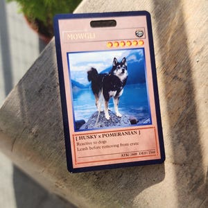 Custom Duel Monster E-tag | In Case of Emergency Info | Travel Crates and Bags Sign | Pet Safety Information | Double Sided Photo ID tag