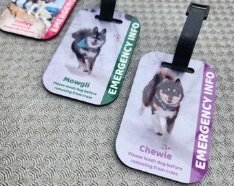 Custom E-tag | In Case of Emergency Info | Travel Crates and Bags Signs | Save our Pet | Pet Safety Information | Double Sided Photo ID tag