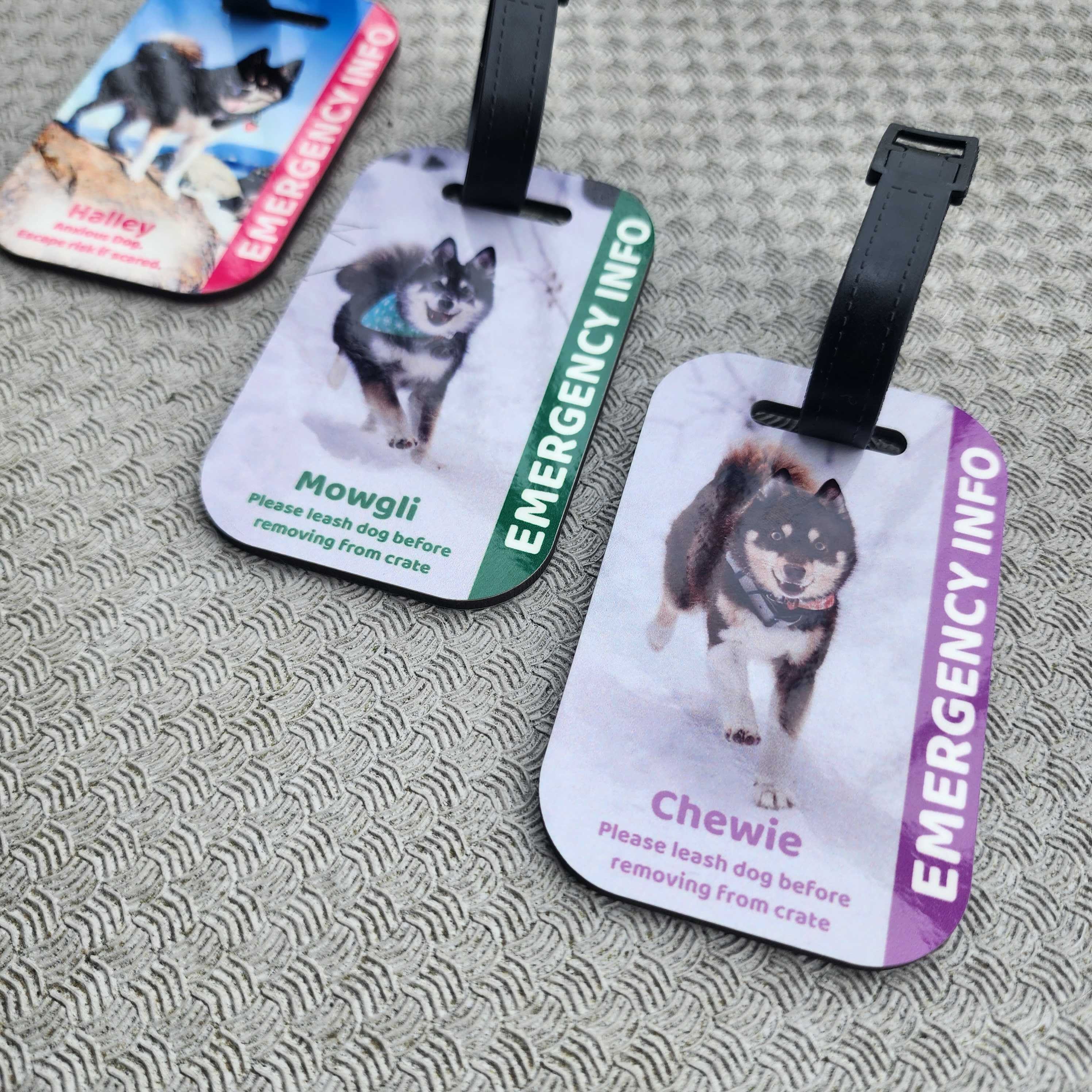 Custom E tag in Case of Emergency Info Travel Crates and Bags Signs Save Our Pet Pet Safety Information Double Sided Photo ID Tag Etsy