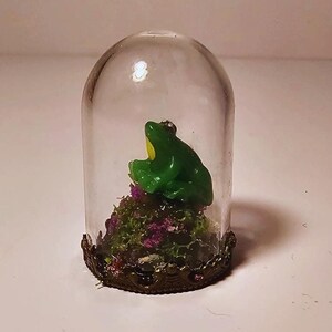 miniature diorama, trinket jar, miniature dome, Miniature Frog dome, fairy miniature