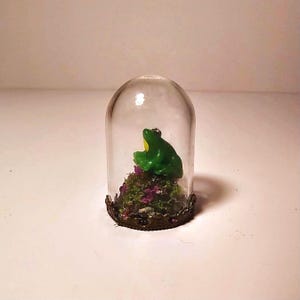 miniature diorama, trinket jar, miniature dome, Miniature Frog dome, fairy miniature