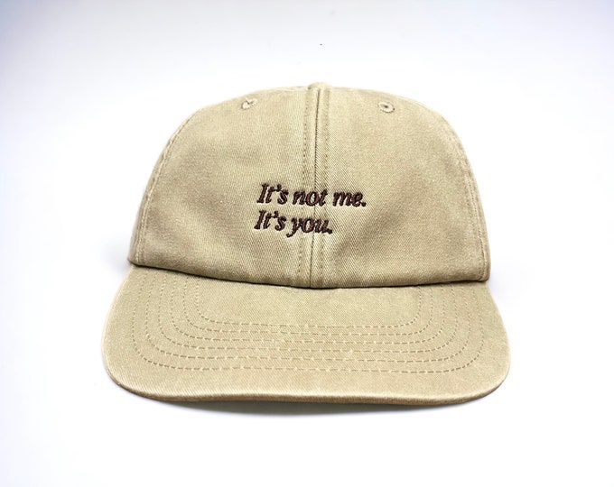 It's Not Me, It's You Embroidered Cap