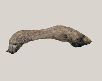 Lamspoten met hoef: 100% natuurlijke hondenbotten