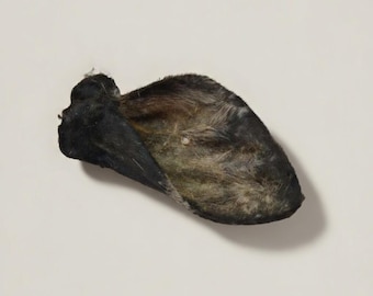 Oreja de vaca deshidratada masticable para perros: natural y saludable