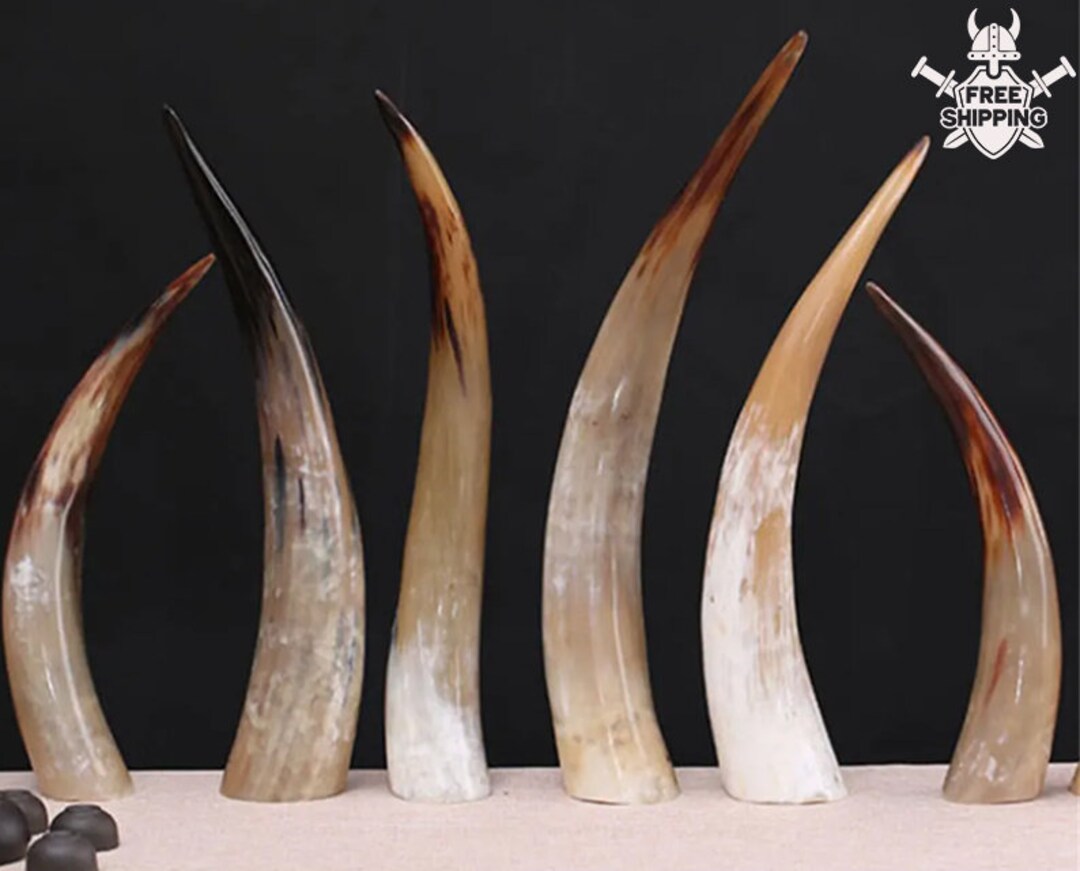 Viking Drinking Horn Mug Medieval Beer Horn for Ren Faire Etsy