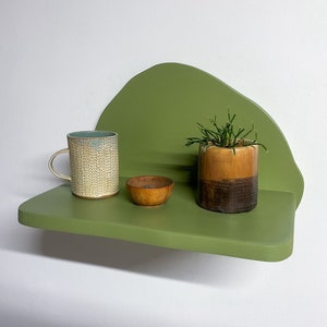 Decorative Floating Shelf, Organic Trinket, Plant, Book Shelves