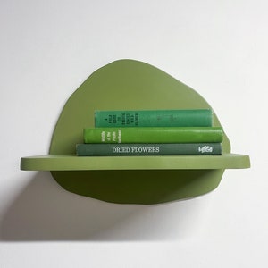 Decorative Floating Book Shelf, Abstract Shape Plant Shelves