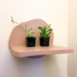 Funky Shelves, Colorful Home Design, Plant Shelf, Bookshelf