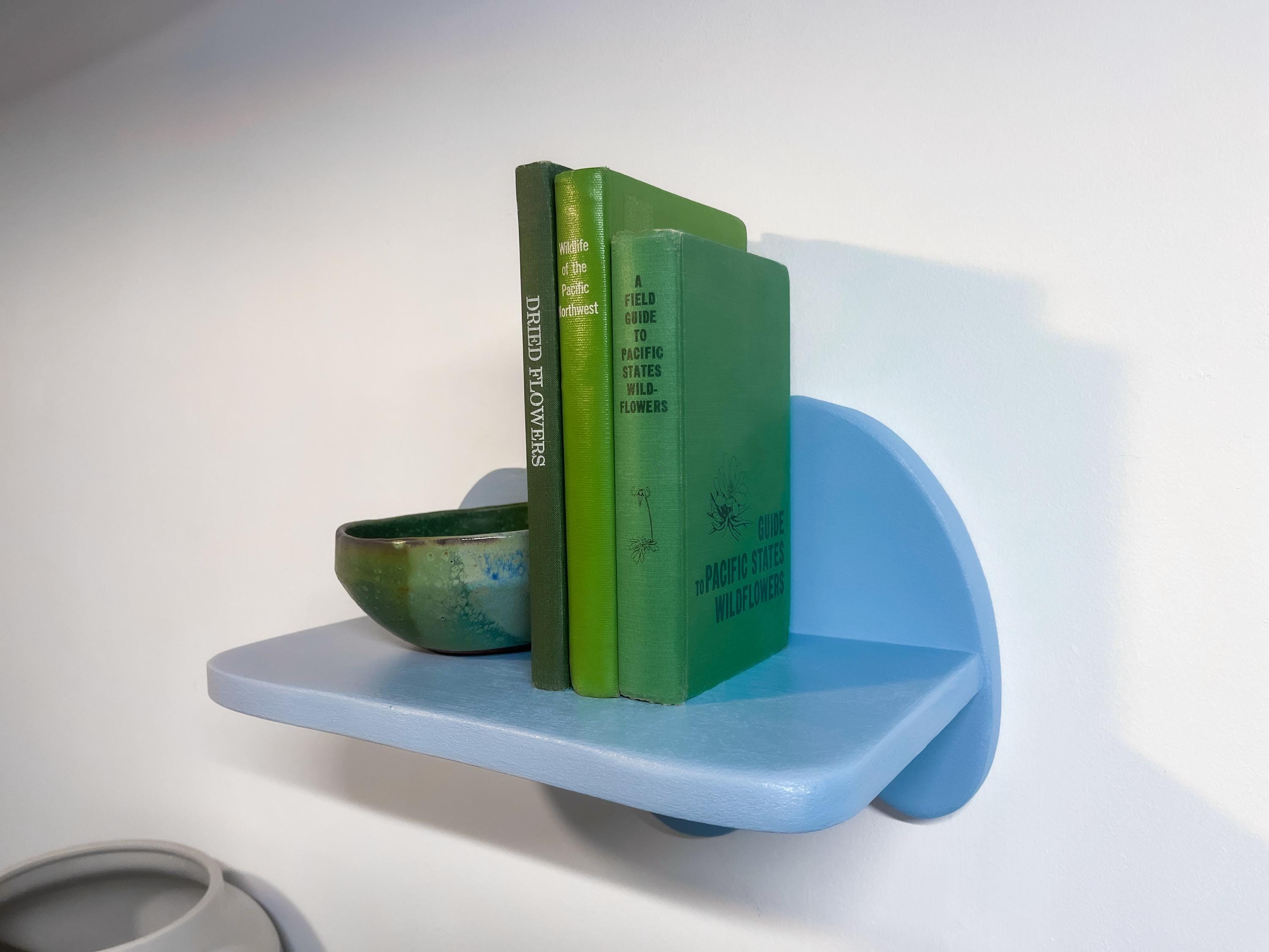 Simple Abstract Shelf Wavy Decorative Shelf, Abstract Shape Colorful Shelves, Wall Decor ...