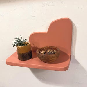 Decorative Plant Shelf, Colorful Shape, Wavy Shelves, Wall Decor, Squiggle Shelf