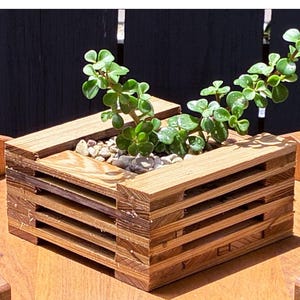 Könnte beinhalten: Ein quadratischer Pflanzkübel aus Holz, der aus gestapelten Leisten besteht und einer Miniatur-Transportpalette ähnelt. Der Kübel enthält eine kleine grüne Sukkulente, die in einem Bett aus hellen Zierkieseln eingepflanzt ist.