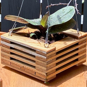 May include: A square hanging planter constructed from stacked horizontal wooden slats with a natural light brown finish. The planter features metal eye hooks at each corner connected to thin wire hangers, containing a green orchid plant.