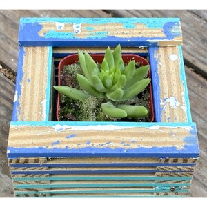 Mini Square Wood Plant Basket | Hanging Orchid Succulent Planter | Reclaimed Wooden Jardiniere | Fits 2 Inch Nursery Pot