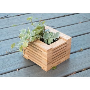Maceta colgante de orquídeas de ciprés reciclado de 16,5 cm (6,5") • Jardinera de madera artesanal de Nueva Orleans con listones para plantas aéreas y suculentas
