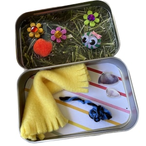 Pet Rock Activity Kit (party favor, party/group activity, activity kit, stocking stuffer)