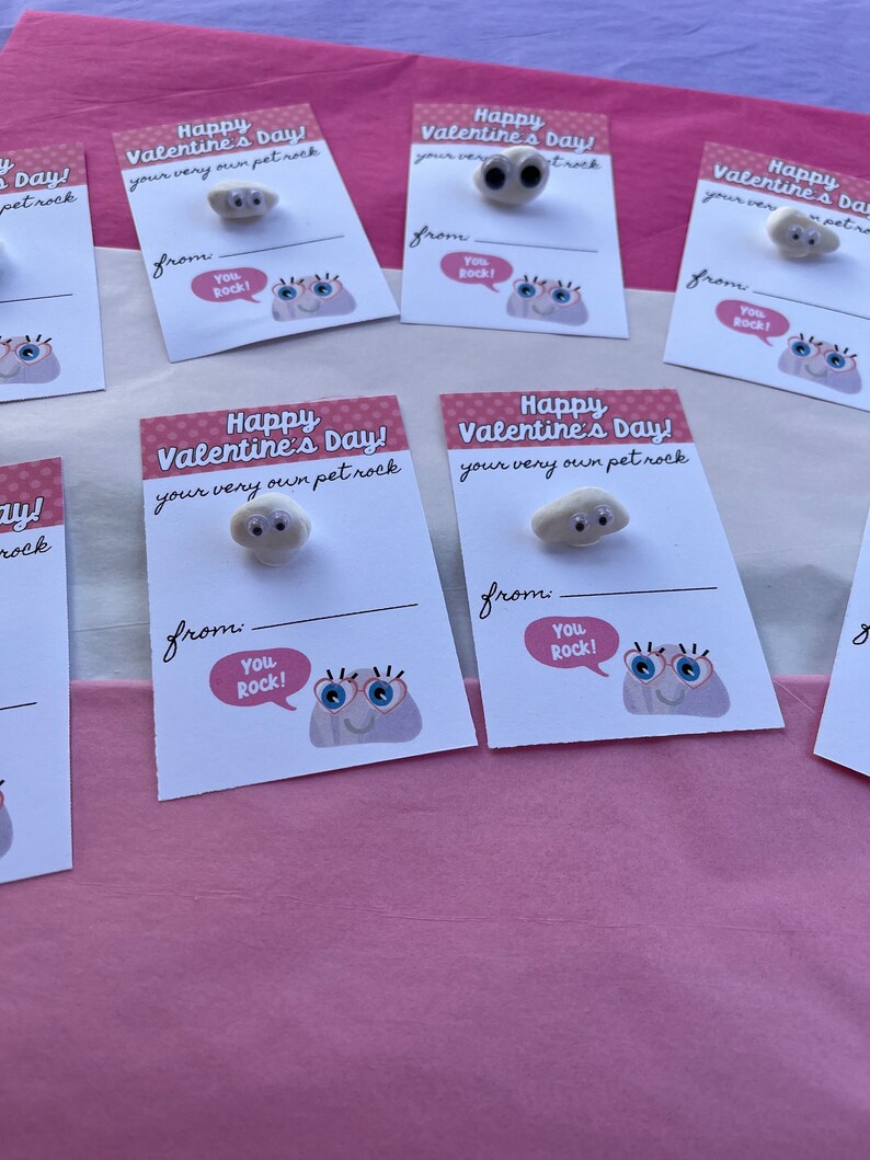 Valentine Pet Rock your Own Pet Rock, Valentines Day, Unique Valentine