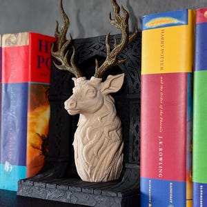 Flame Antler Stag Book Nook, Antlers of Ember Fantasy Book End, Lord of the North Inspired, Bookshelf Decor, Throne of Glass, Booktok Decor