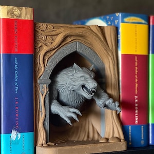 Werewolf Book Nook: Fantasy Bookshelf Insert, Gothic Home Decor