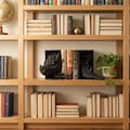 Dragon Bookend | Fourth Wing Bookshelf Decor | Fantasy Book Nook Gift for Readers