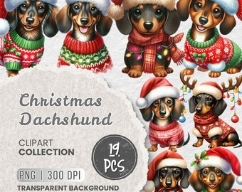 Christmas Dachshund Clipart, Watercolor Dog PNG Graphics, Scrapbook (Set of 19) (Instant Download)
