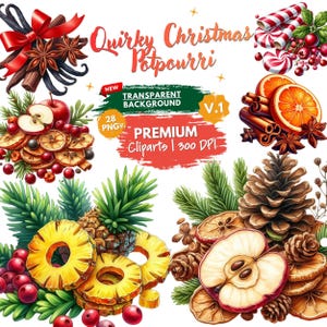 Paquete de imágenes prediseñadas PNG de popurrí navideño, imágenes prediseñadas de naranjas secas y canela para las fiestas, elementos botánicos navideños, decoración de invierno