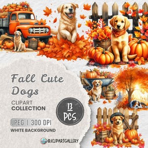 Puede incluir: Una colección de clipart digital de 13 imágenes con adorables perros golden retriever en varios escenarios de otoño. Las imágenes incluyen calabazas, hojas de otoño, un camión rojo, una carretilla y una valla de madera. Las imágenes son perfectas para crear manualidades, tarjetas y otros proyectos con temática otoñal.