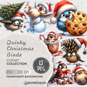 Quirky Christmas Birds PNG Clipart Bundle, Quirky Bird with Santa Hat, Funny Xmas Graphics, Kids Comics Cartoon, Paper Crafts, Sublimation